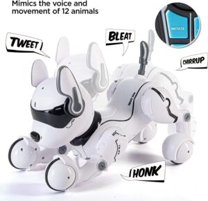  Remote Control Robot Dog