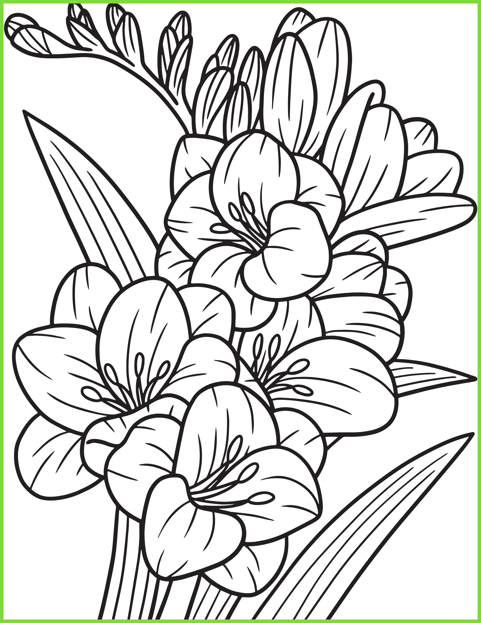 Free Printable Coloring Pages for Teens