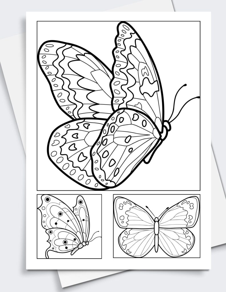 Butterfly Coloring Pages Gallery