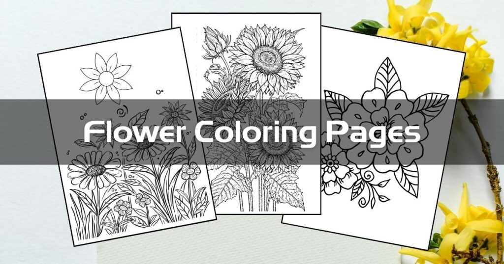 Flower Coloring Page for Kids and Teens