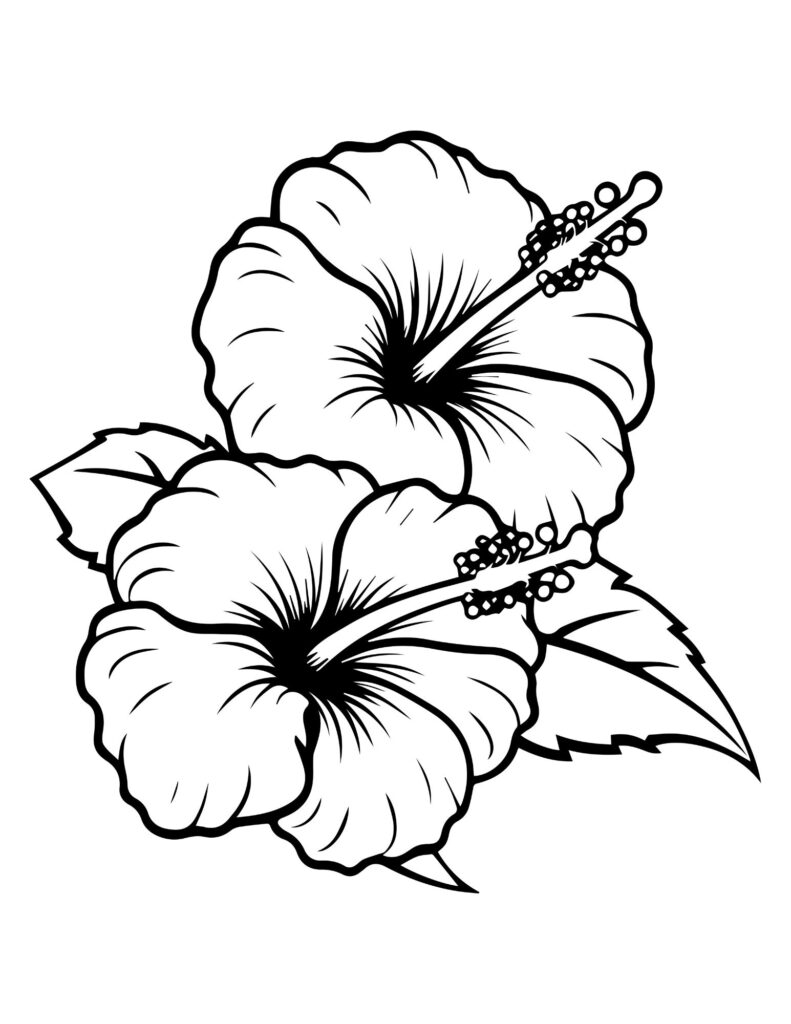 flower drawing Coloring Pages