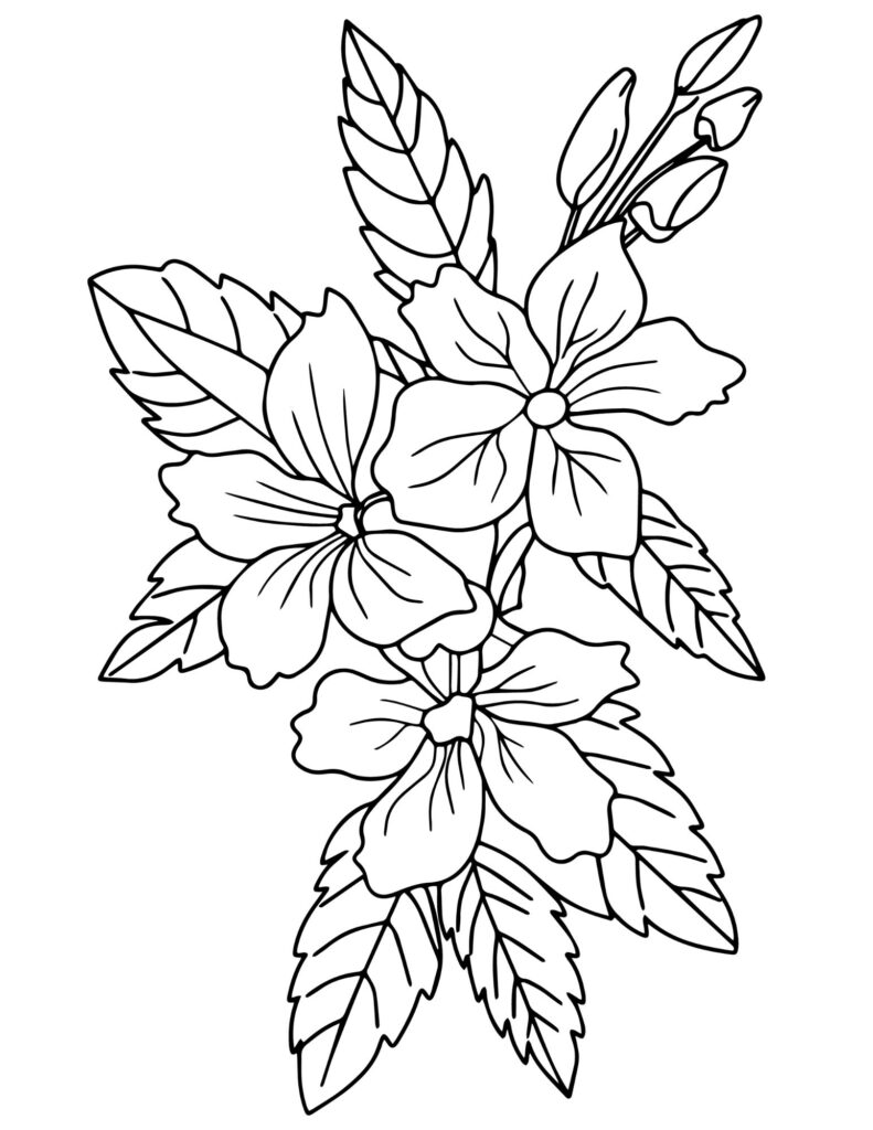 flower drawing Coloring Pages