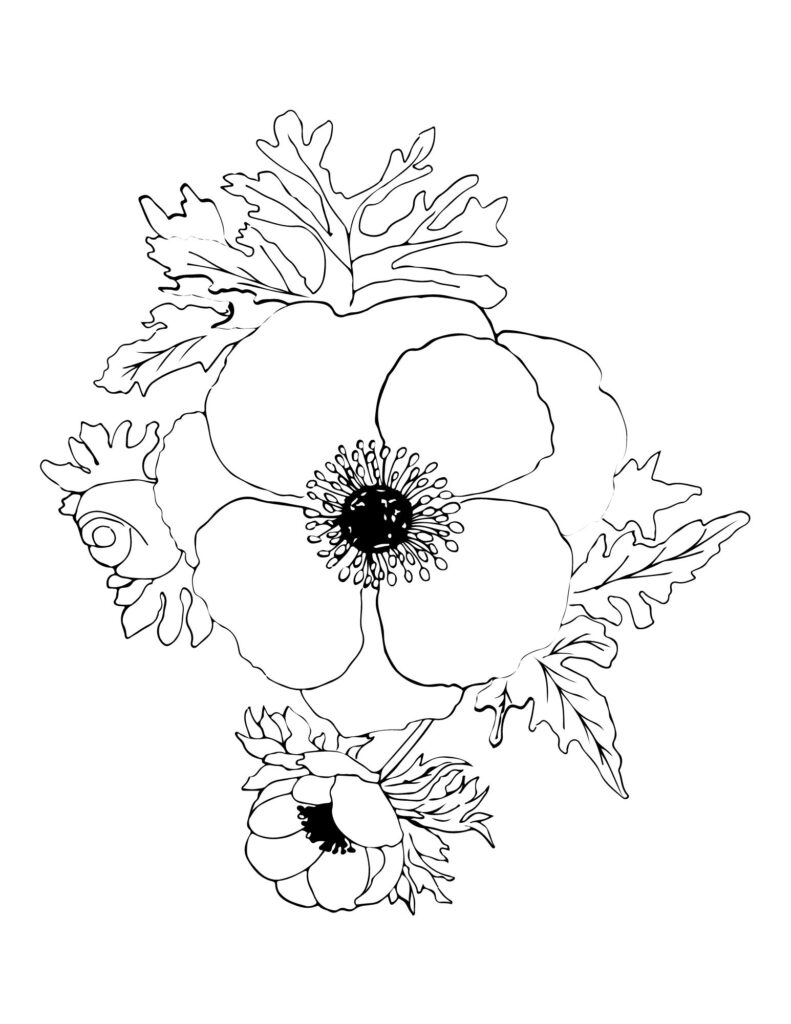 flower drawing Coloring Pages