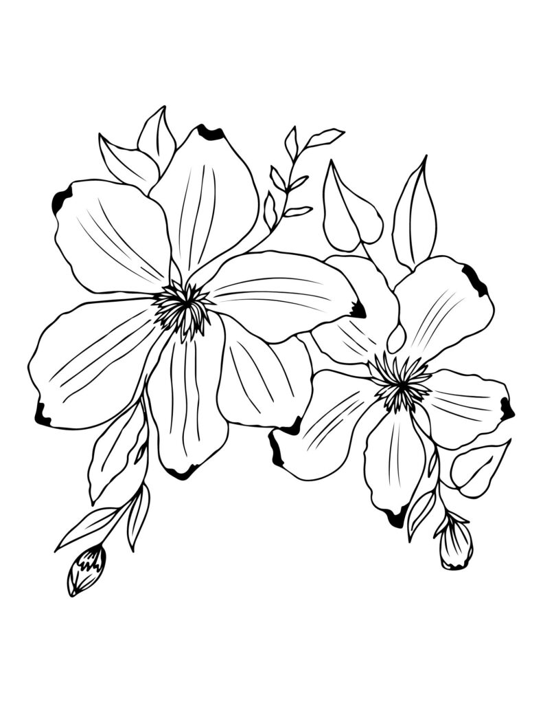 flower drawing Coloring Pages