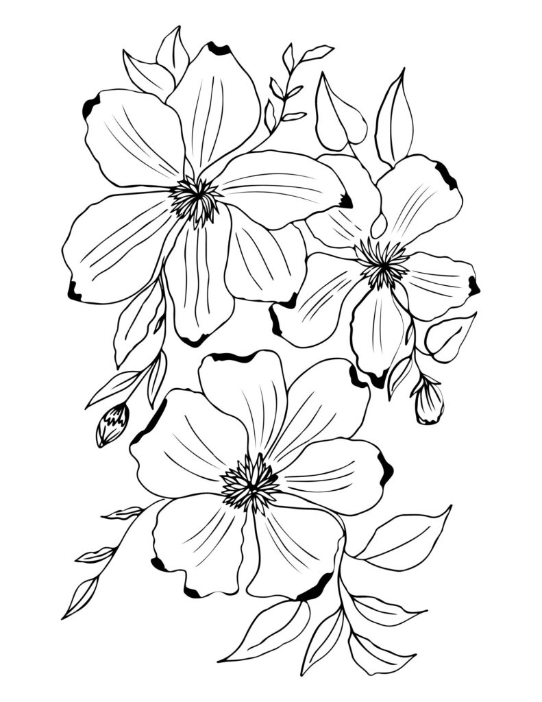 flower drawing Coloring Pages