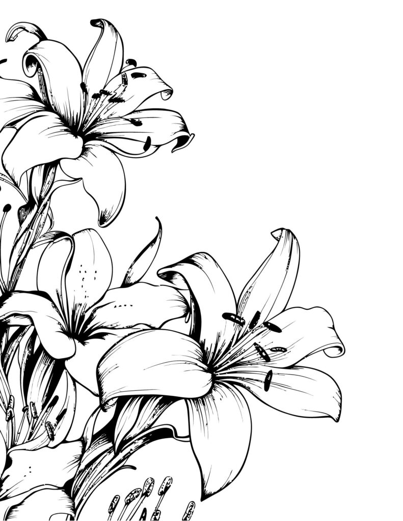 flower drawing Coloring Pages