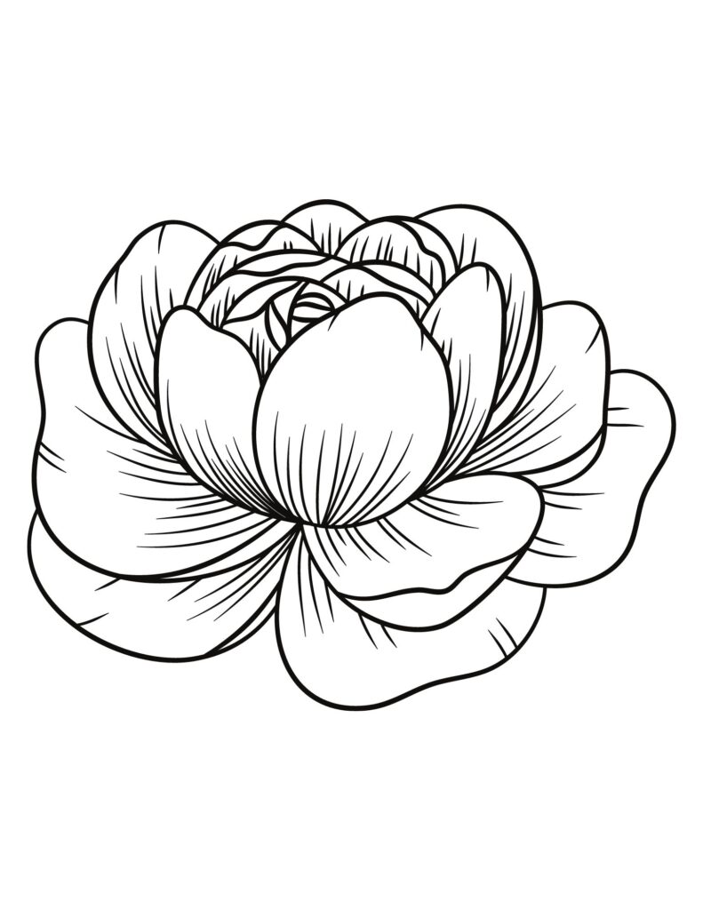 flower drawing Coloring Pages