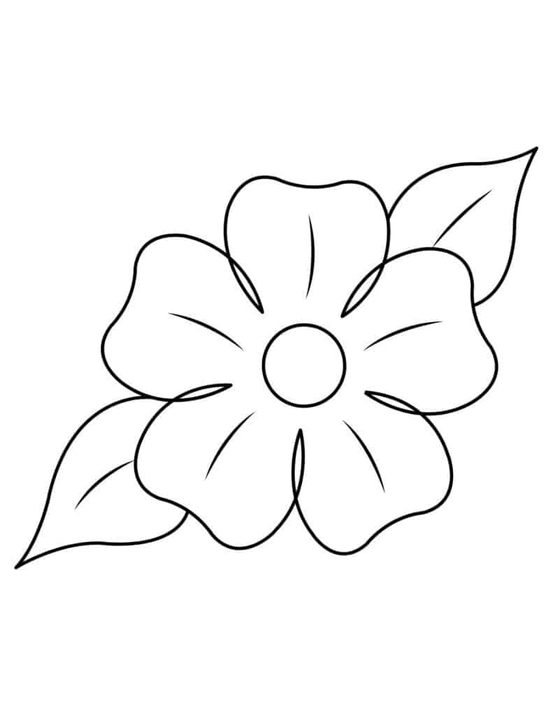 flower drawing Coloring Pages