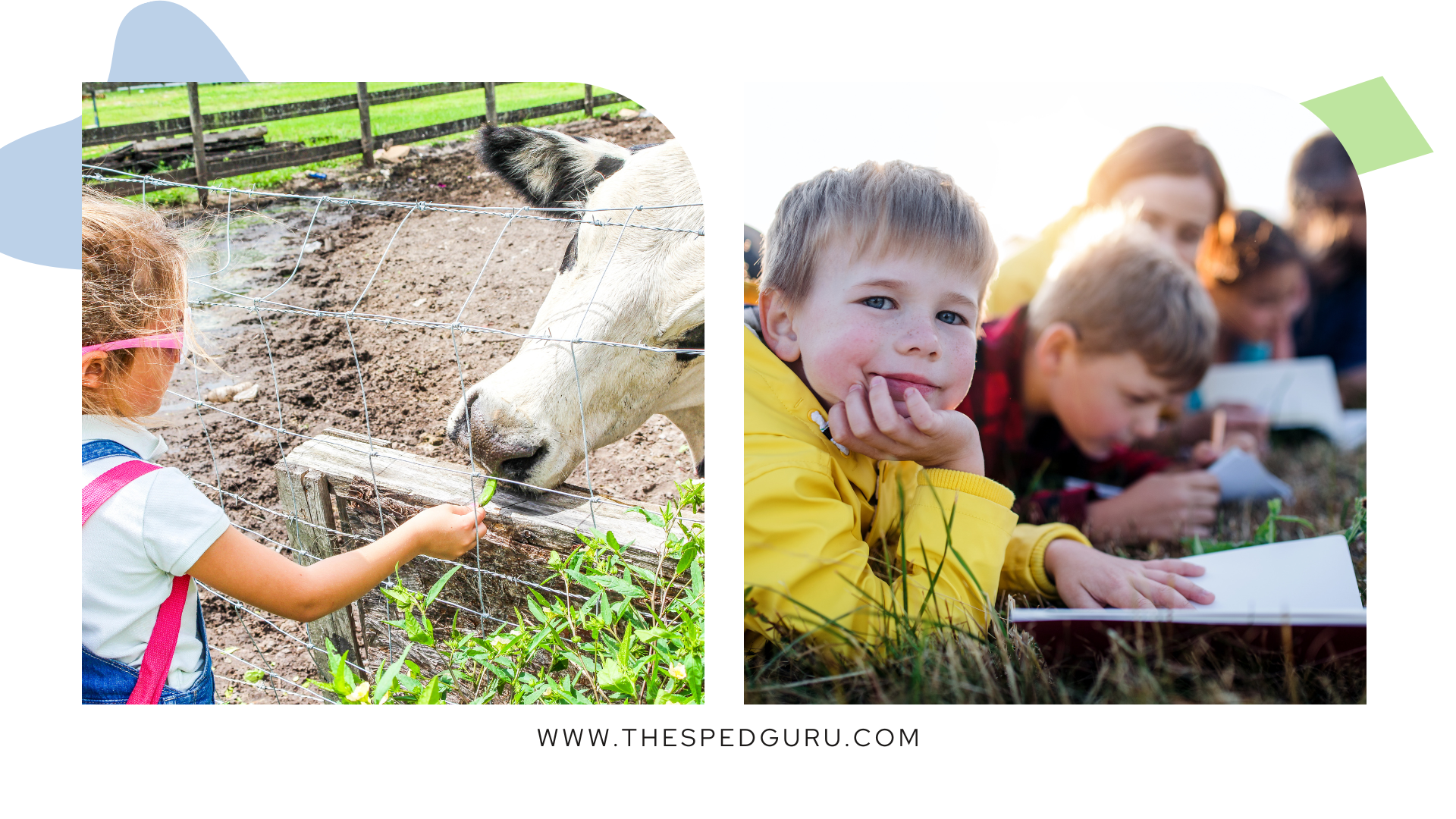 Year Round Homeschool Field Trips for Elementary and High School Kids