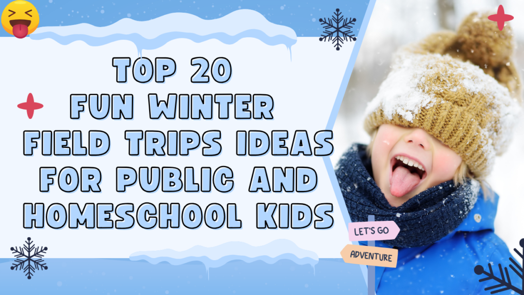 top Fun Winter Field Trips Ideas for Public and Homeschool Kids