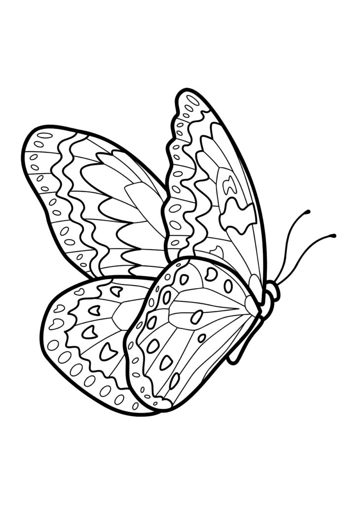 butterfly-coloring-page