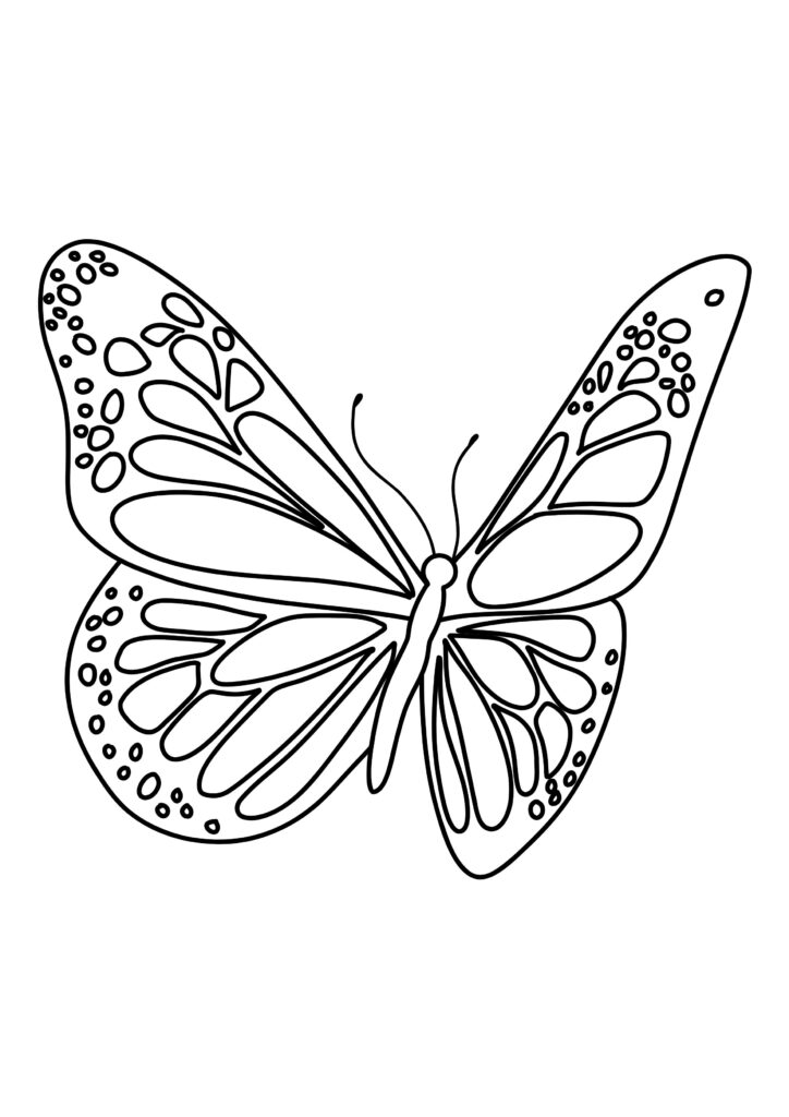butterfly-coloring-page